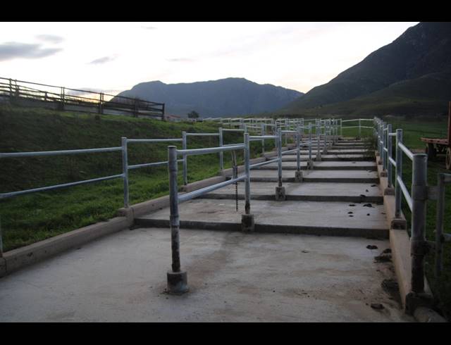 814HA FARM FOR SALE IN RIVERSDALE RURAL